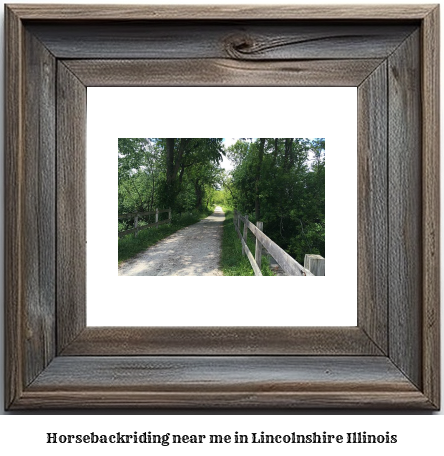 horseback riding near me in Lincolnshire, Illinois